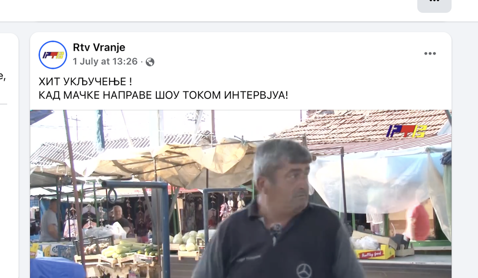 Klerki od Katuna u strahu od mačjeg ataka na patlidžančiki i blitvičku. Foto Fejsbuk (profil RTV doo)