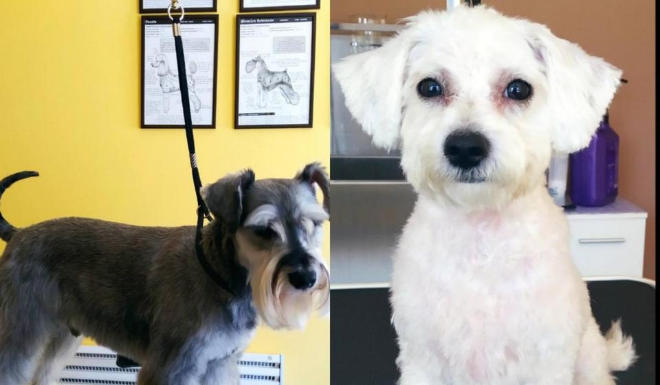 Foto promo El Chapo (klik na fotografiju za puni prikaz)