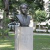 Bista Đorđa Tasića u Gradskom parku u Vranju. Foto Vranje News