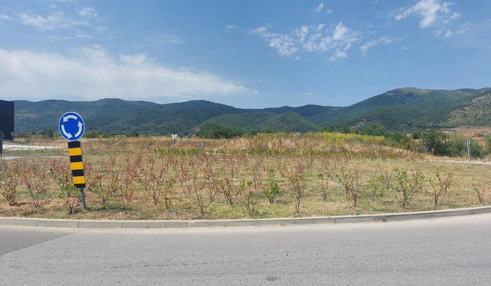 Foto SRCE