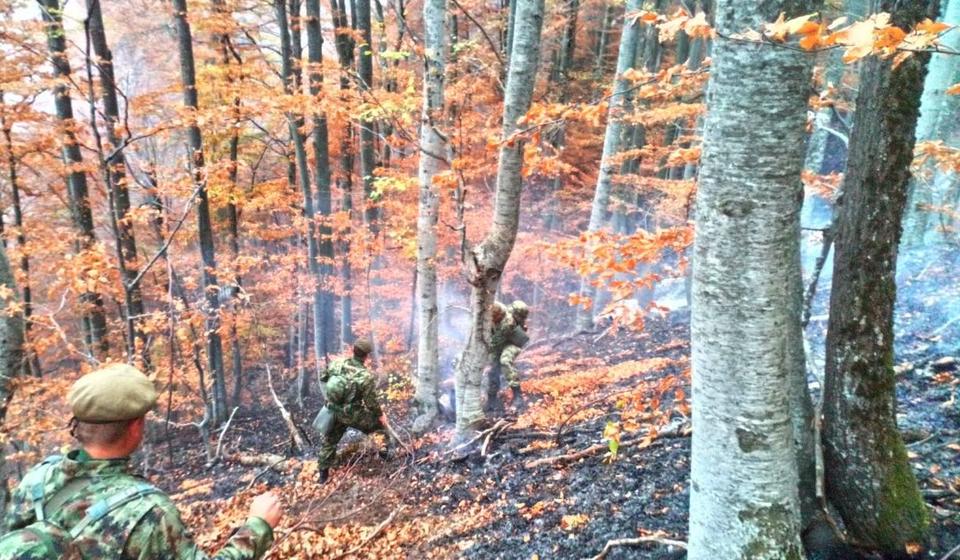 I pre tri godine sličan požar zahvatio područje opštine Trgovište. Foto MOD