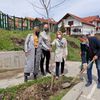 Foto www.vranje.org.rs