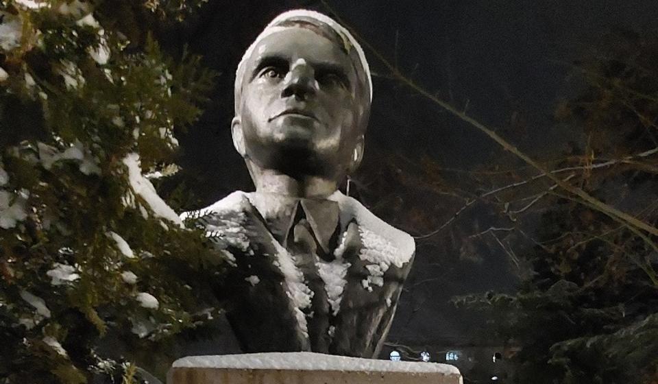 Bista Đorđa Tasića u Gradskom parku u Vranju. Foto Vranje News