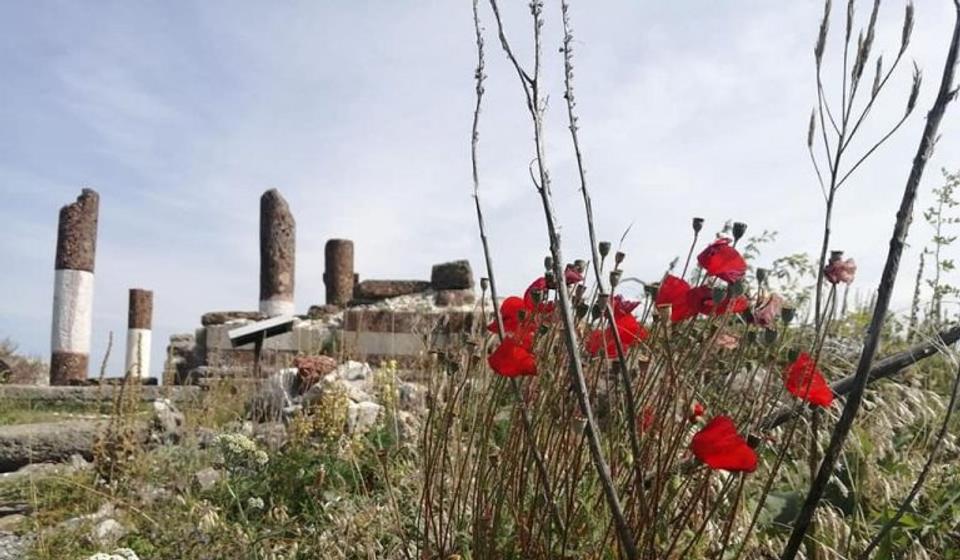 Trećenagrađena fotografija Slađane Tasić. Foto autorkina arhiva
