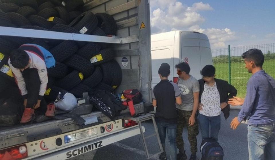 Foto ilustracija Uprava carina