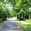 Gradski park u Vranju, jedna od zona tretiranja. Foto Grad Vranje
