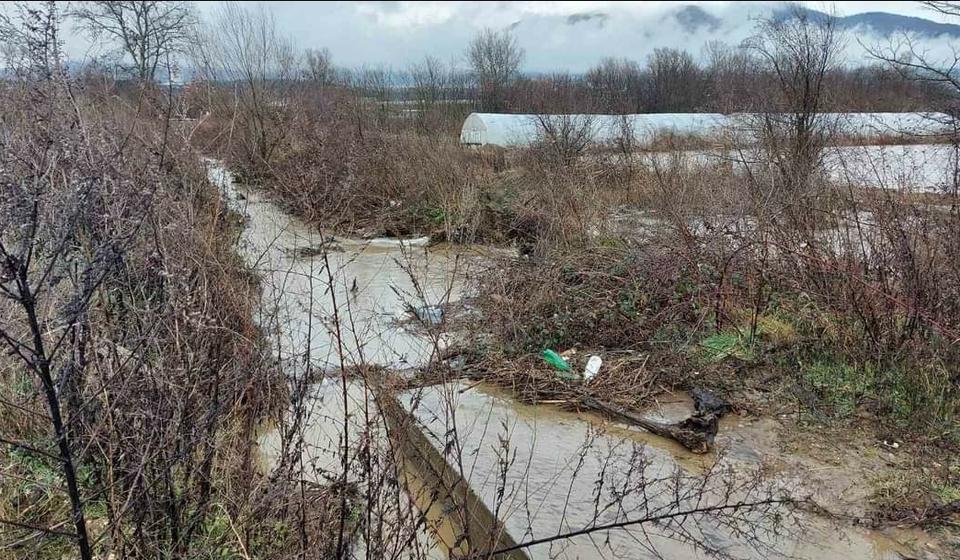 Foto www.vranje.org.rs