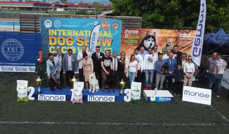 Foto Mihailo Petrović