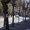 Foto Vranje News