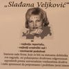 Foto Vranje News