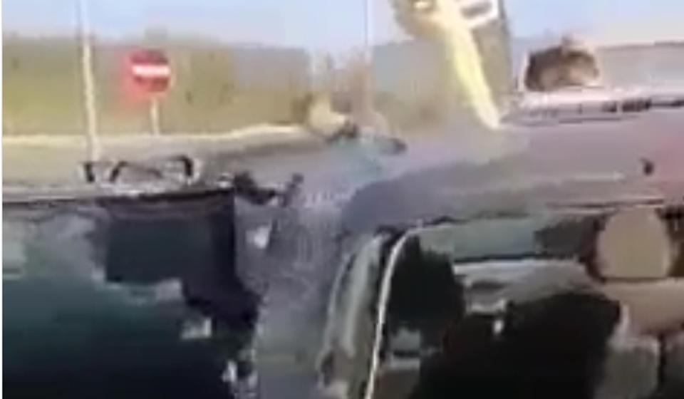 Foto printscreen Bujanovačke