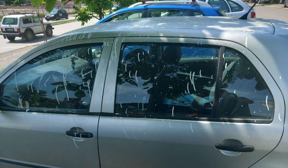 Foto lično vlasništvo S.M.