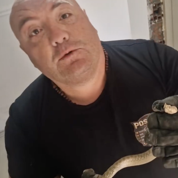 Foto printscreen Instagram (stranica Udruženja 