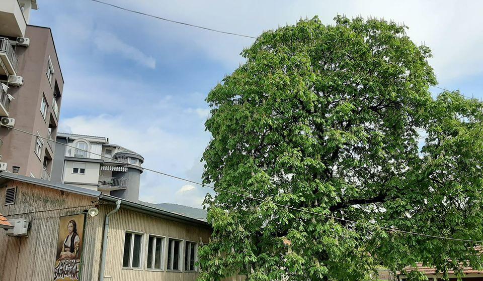 Otkazuje se takmičenje frulaša Prva frula juga Srbije. Foto NU