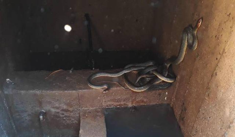 Foto privatna arhiva