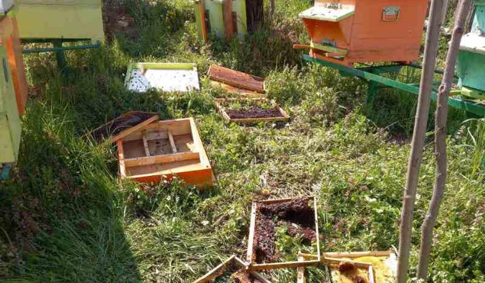 Foto lično vlasništvo