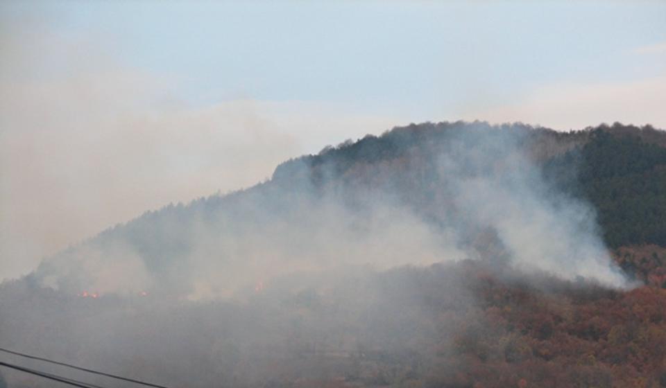 Požar se širio ka zapadu. Foto VranjeNews