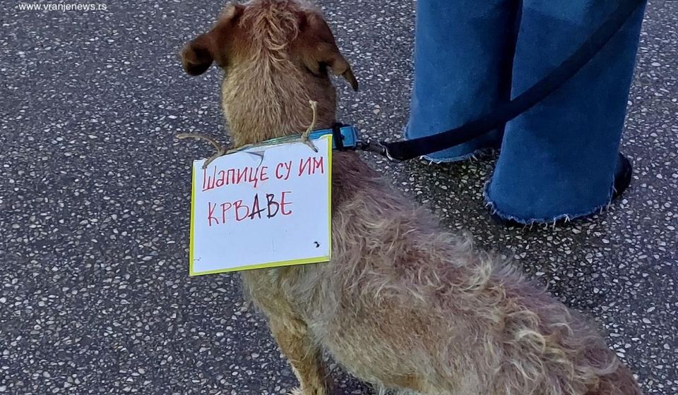 Foto Vranje news