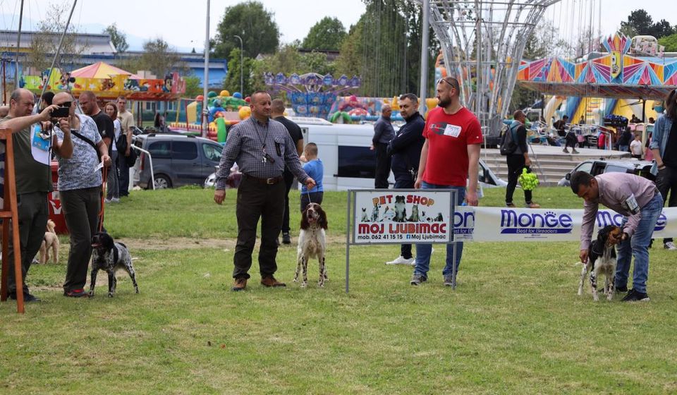Foto Vranje news