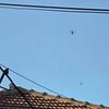 Helikopteri EU iznad Vranja. Foto Vranje news