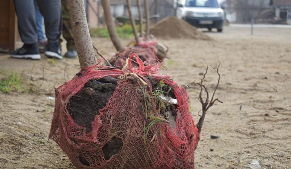 Foto Šta nam teško