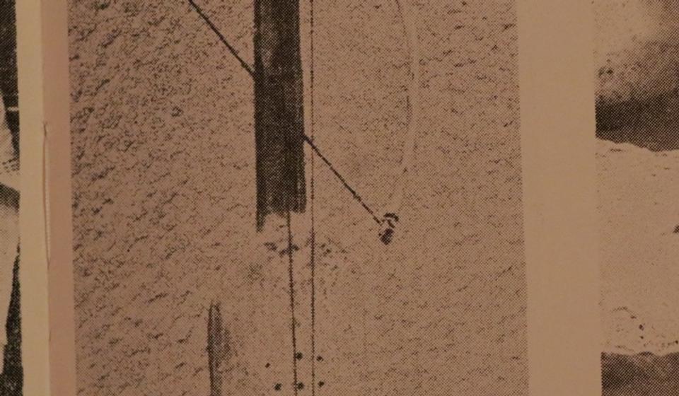 Naćijine gusle iz Crne Trave. Foto Vranje News (izvor arhiva prof. dr Momčila Zlatanovića)