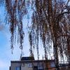 Kakav ćemo vazduh udisati predstojeće zime, pitaju iz Ekološkog ustanka. Foto Vranje News
