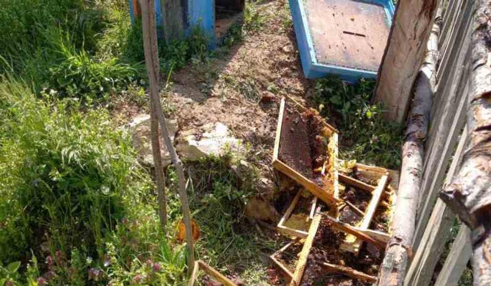 Foto lično vlasništvo