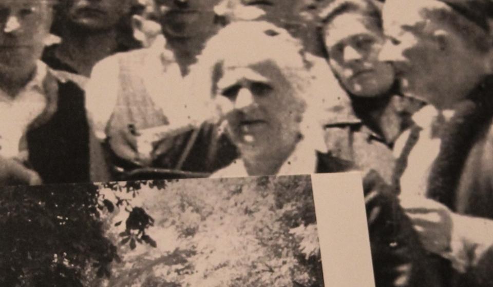 Stana Avramović Karaminga, 