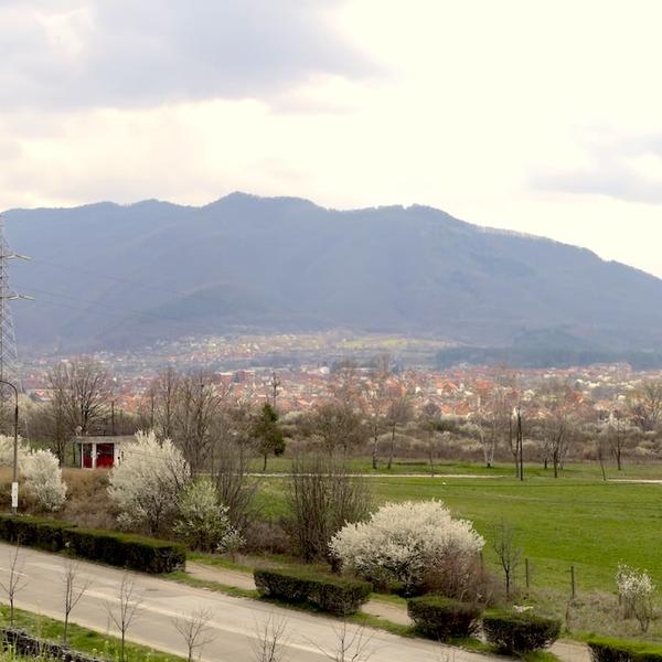 Foto Vranje news