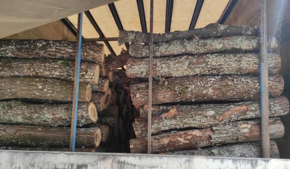 Foto ilustracija MUP