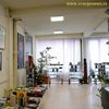Foto ilustracija Vranje News