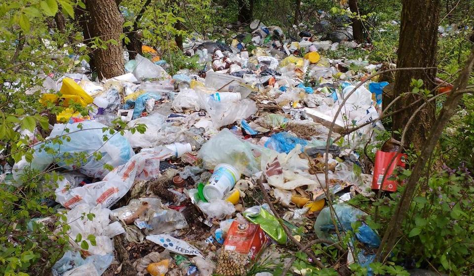 Ekološki aktivisti Kreni promeni i građani koji su se priključili akciji zatekli divlju deponiju na periferiji Vranja, na lokaciji Jezerište ka Borinom brdu. Foto Kreni promeni