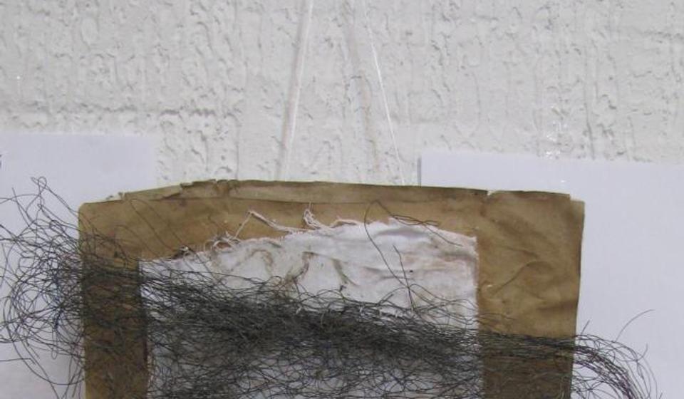 Iz ciklusa Pejzaži (2012). Foto Branislav Nedeljković