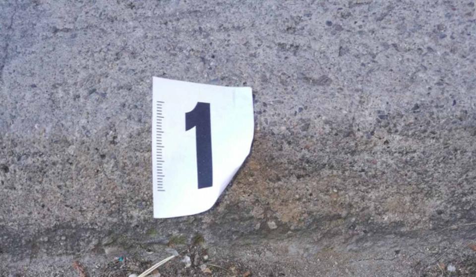 Otrov plave boje ubačen u salamu. Foto privatna arhiva