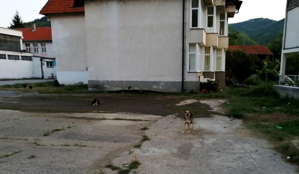 Scena iz školskog dvorišta u Trgovištu. Foto OO NS