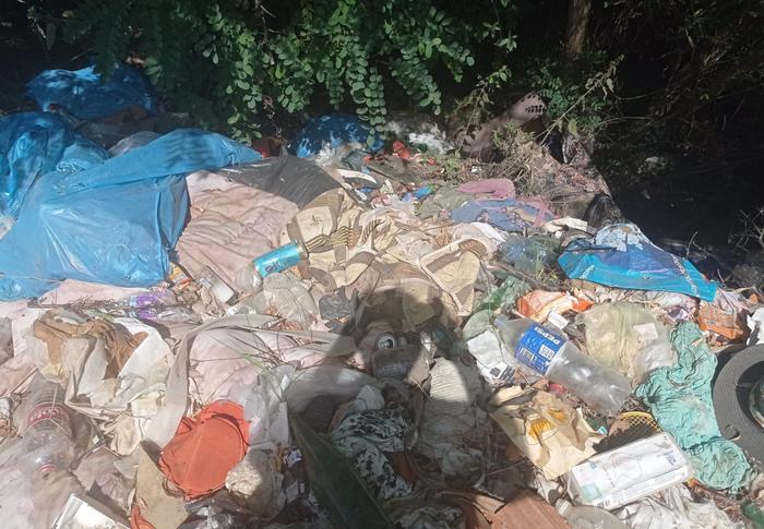 Problem Vranja nije samo što neodgovorni ljudi bacaju smeće gde stignu, nego što i javne službe to ne žele da čiste. Foto Vranje news