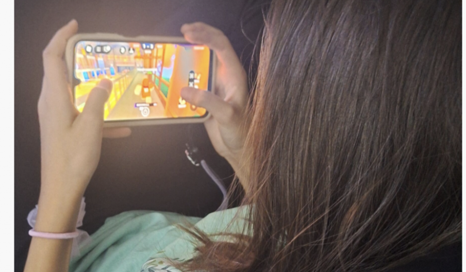 Foto printscreen kostana.rs