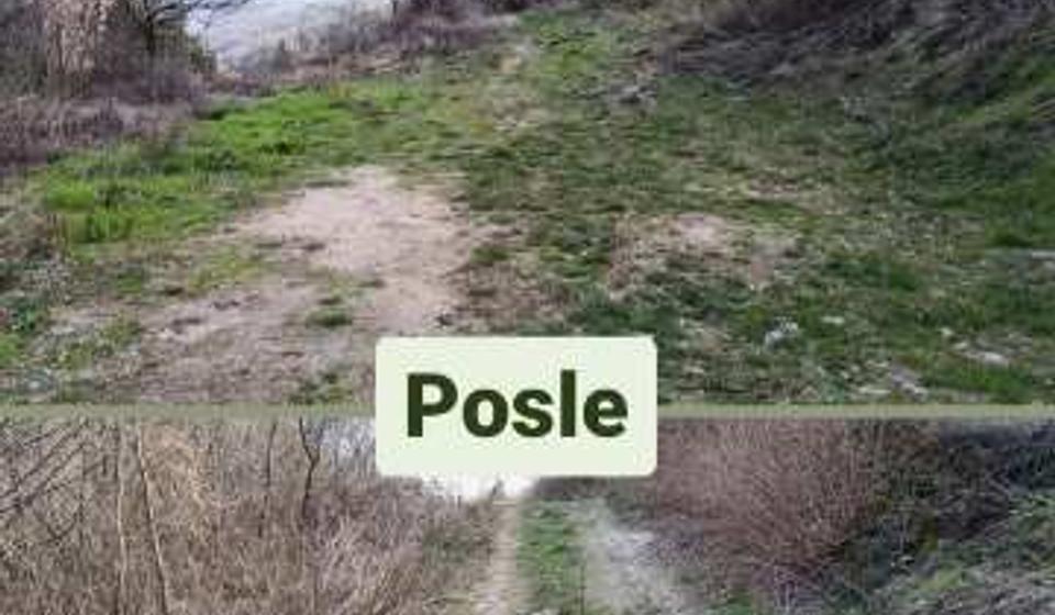 Foto D.A. (klik na fotografiju za puni prikaz)