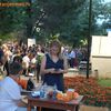 Računajući donacije pre bala ukupan iznos prikupljene pomoći za decu koja su tokom pandemije ostala bez jednog ili oba roditelja je 554.149 dinara i 685 evra. Foto Vranje News