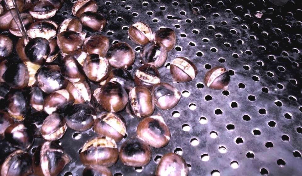 Foto lična arhiva B.M.