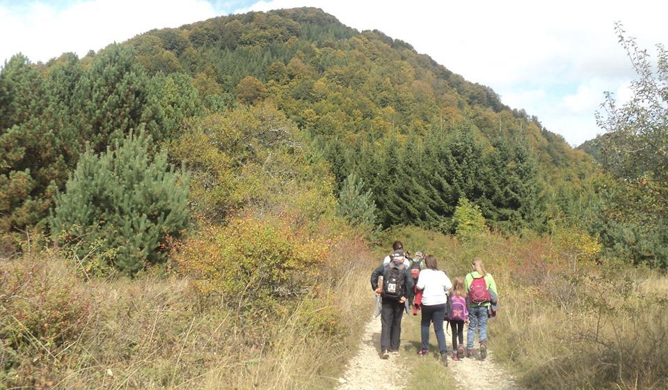 Foto Železničar 2006