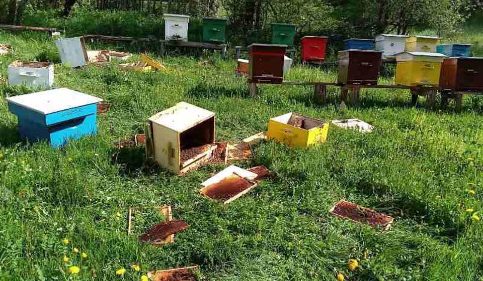 Foto lično vlasništvo