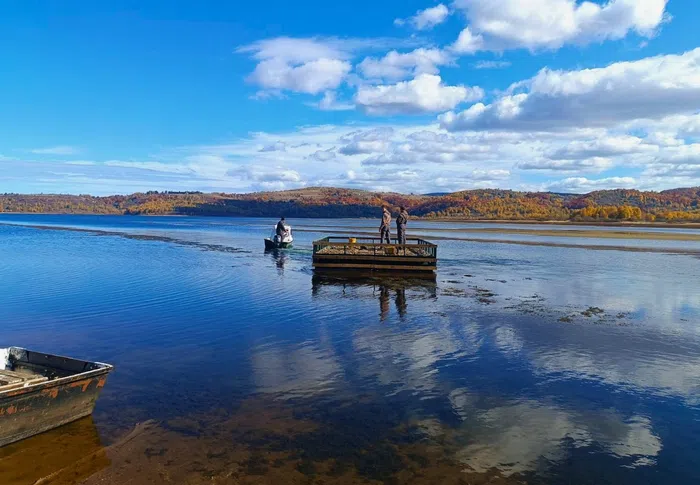 Foto Novica Stanković