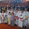 Foto Feniks