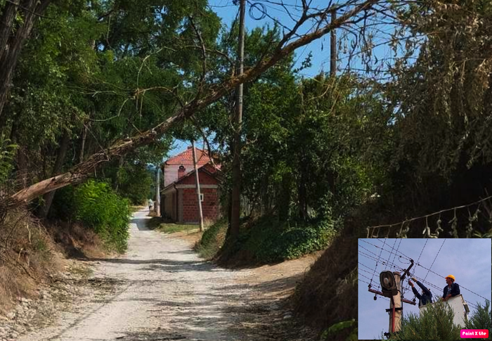 Foto Č.V.N/Vranje news