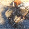 Radnici Vodovoda iz kanalizacije svakodnevno vade raznovrstan čvrsti materijal koji dovodi do zapušenja. Foto Vranje News