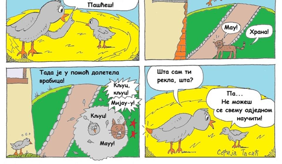 Sofijin strip iz knjige 