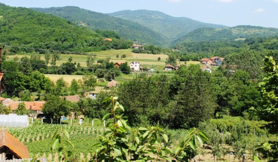 Solarna elektrana gradiće se na području vranjskih sela Vlase i Gradnja. Foto ilustracija P.A.