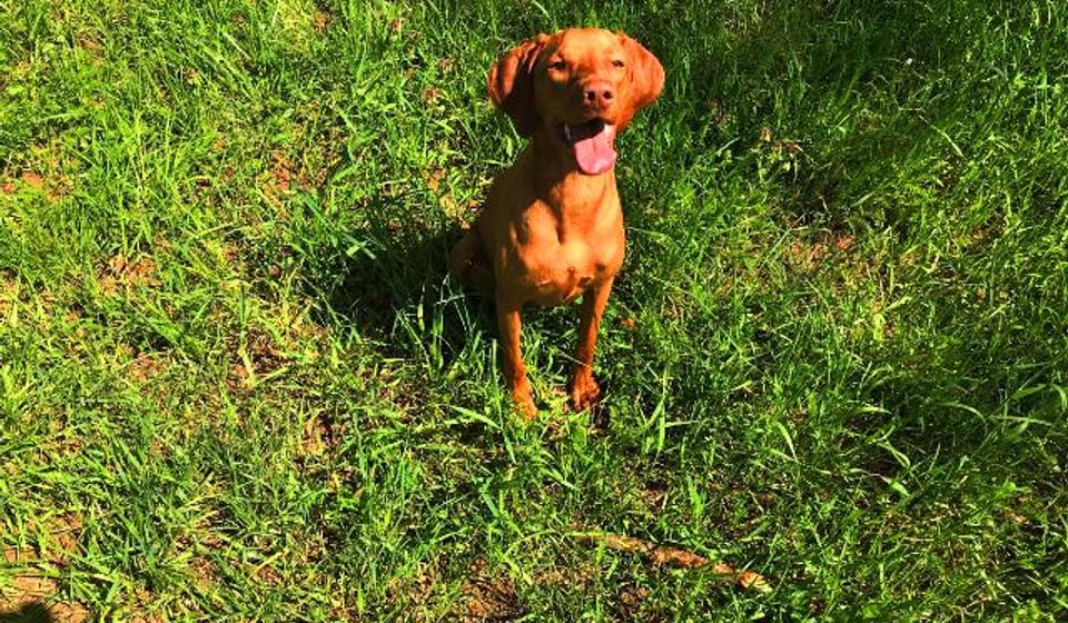 Foto privatna arhiva